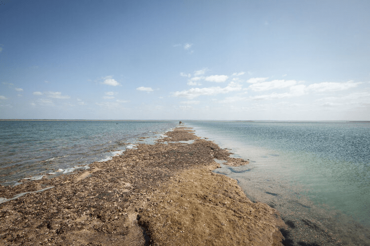 Liquid Dive Family: The intersection where conservation meets adventure