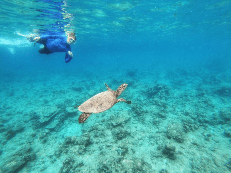 Secret Paradise Maldives: How we became a 7 figure tour company